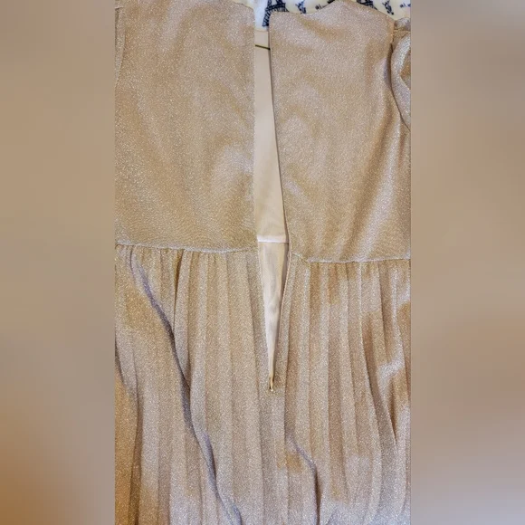 Plus size Glitter Pleated Dress Long 3XL - Picture 11 of 12